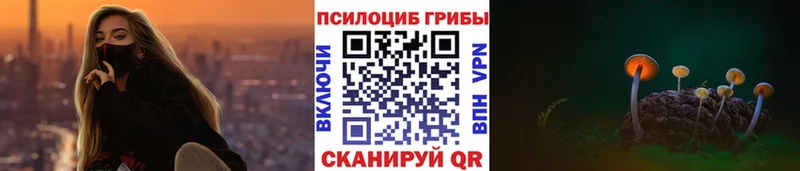 Галлюциногенные грибы Cubensis  где продают   Оленегорск 